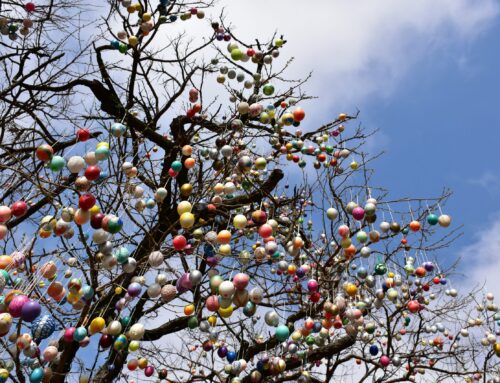 Renewal and Opportunity: An Easter Reflection on Education